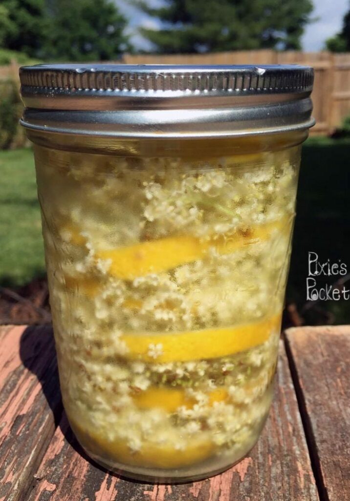 elderflowercordial2