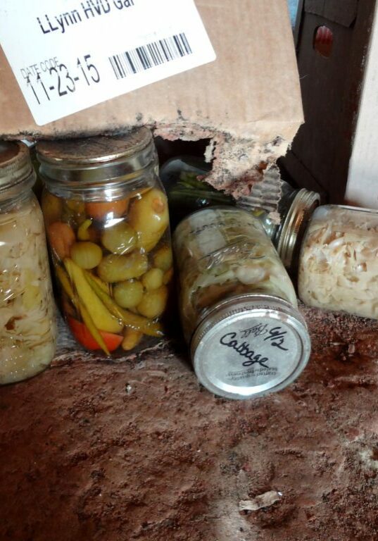 jars in the basement from pixiespocket.com