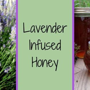 lavender infused honey 2