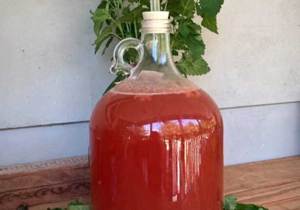 Strawberry and Lemon Balm Mead from Amber Shehan on Pixiespocket.com