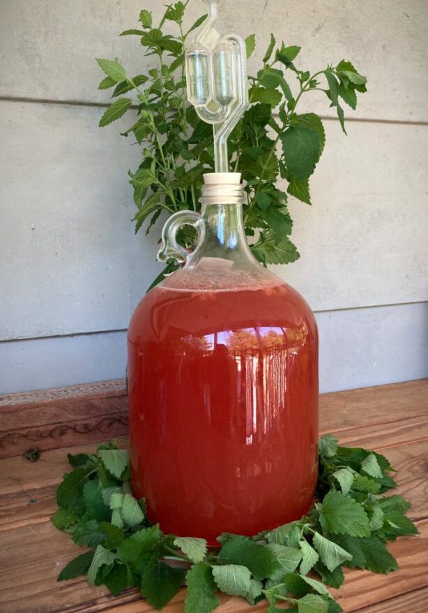 Strawberry and Lemon Balm Mead from Amber Shehan on Pixiespocket.com