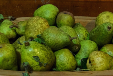 Pear Cordial: DIY Delicious Booze!